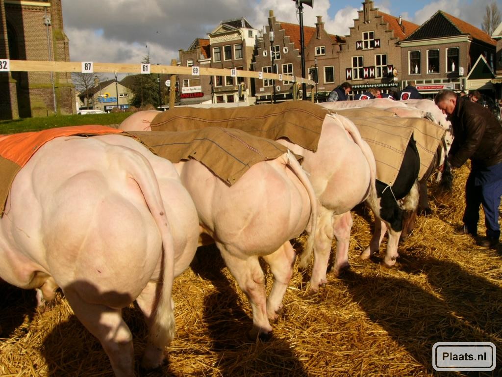 Woensdag 28 Maart  ***  PAASVEE  ***